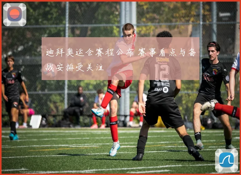 迪拜奥运会赛程公布 赛事看点与备战安排受关注