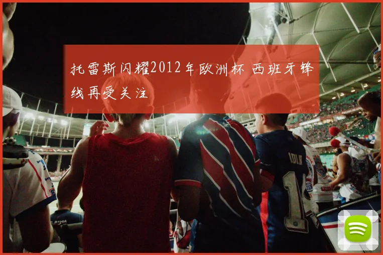 托雷斯闪耀2012年欧洲杯 西班牙锋线再受关注