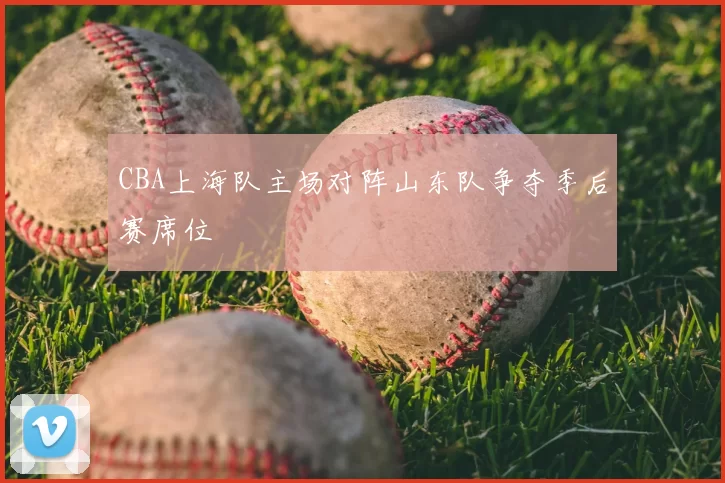 CBA上海队主场对阵山东队争夺季后赛席位