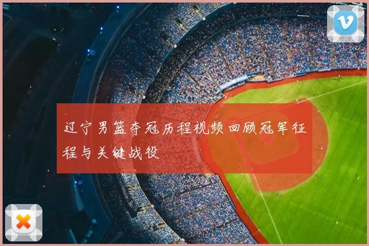 辽宁男篮夺冠历程视频回顾冠军征程与关键战役