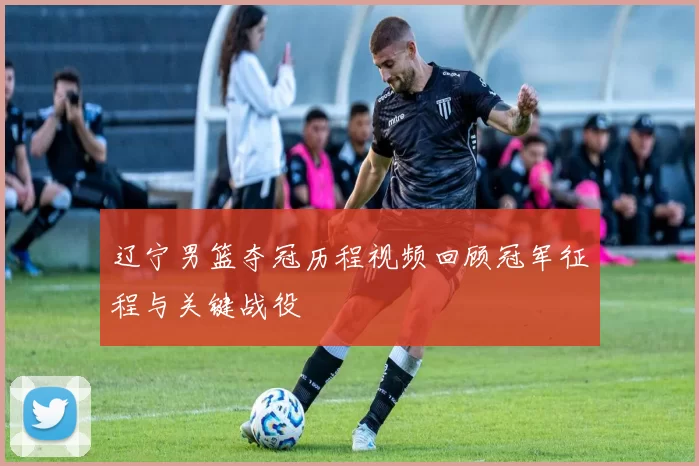 辽宁男篮夺冠历程视频回顾冠军征程与关键战役