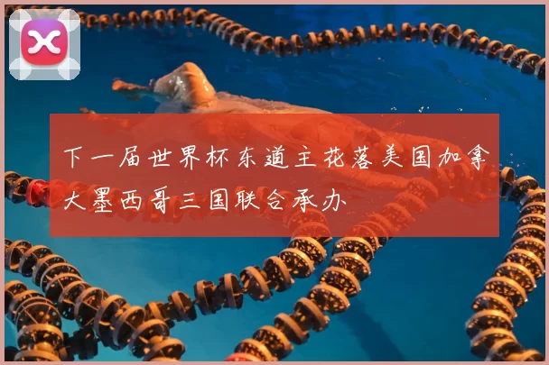 下一届世界杯东道主花落美国加拿大墨西哥三国联合承办