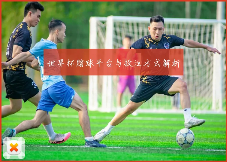 世界杯赌球平台与投注方式解析