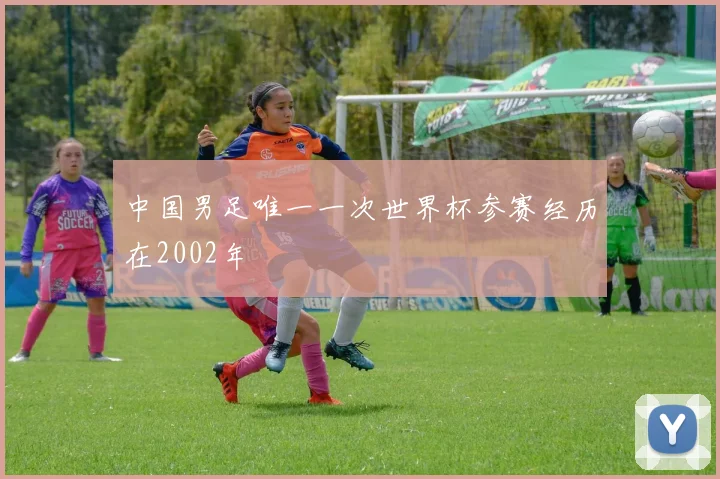 中国男足唯一一次世界杯参赛经历在2002年