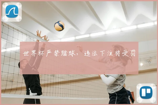 世界杯严禁赌球,违法下注将受罚