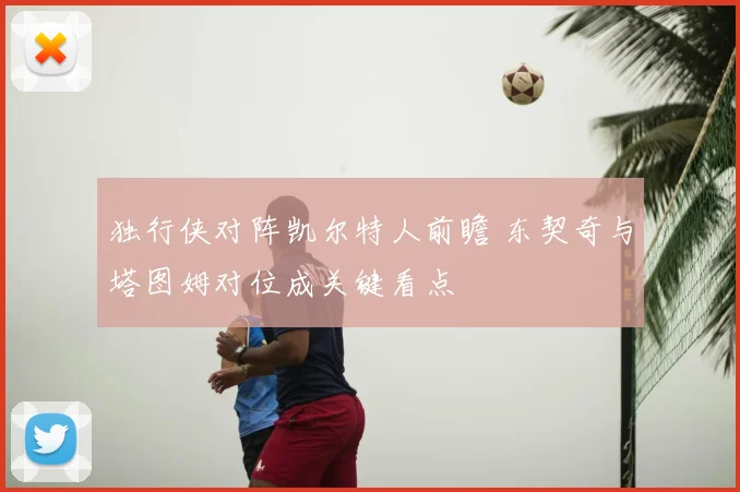 独行侠对阵凯尔特人前瞻 东契奇与塔图姆对位成关键看点